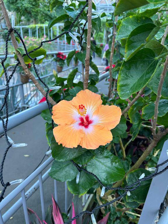 出勤しました！