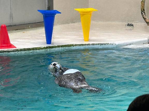 ありがとうございました?