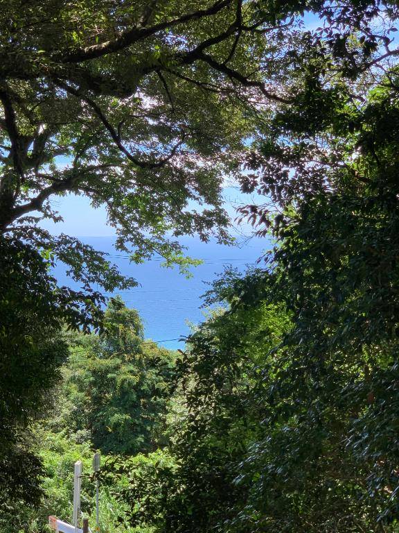 おはようございます\(//∇//)\