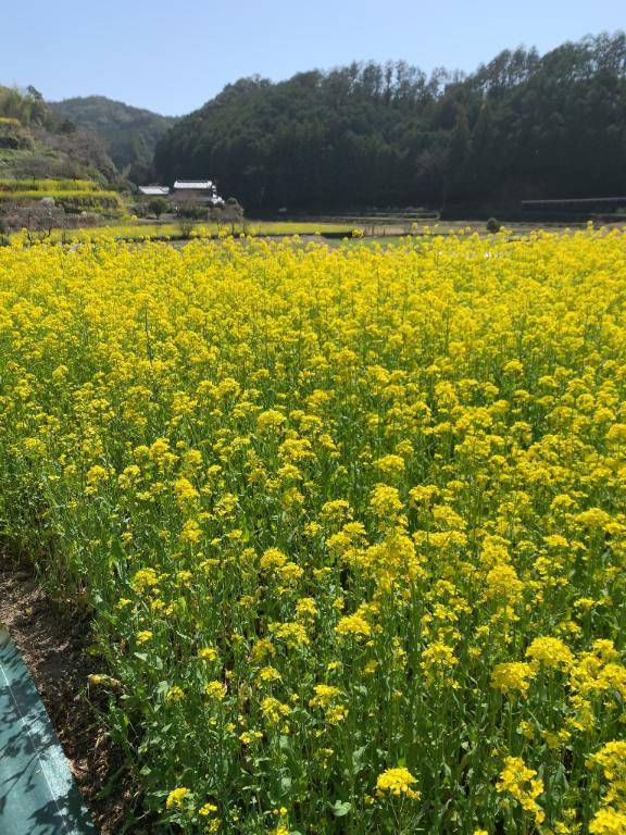 [お題]from:雛あられラブさん