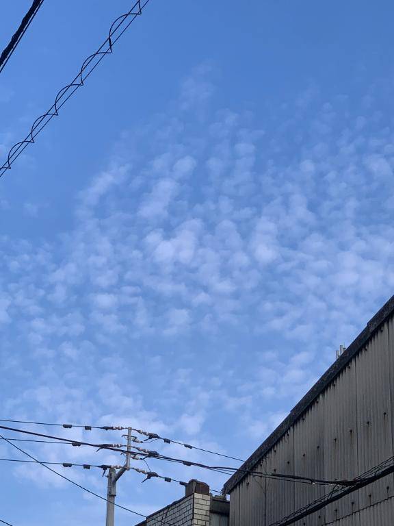 おはようございます(*^^*)