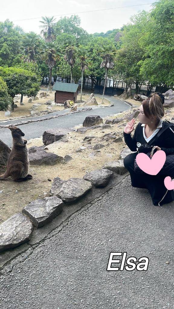 水で落ちるオイル