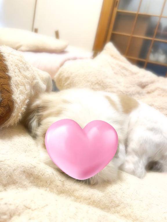 えまー