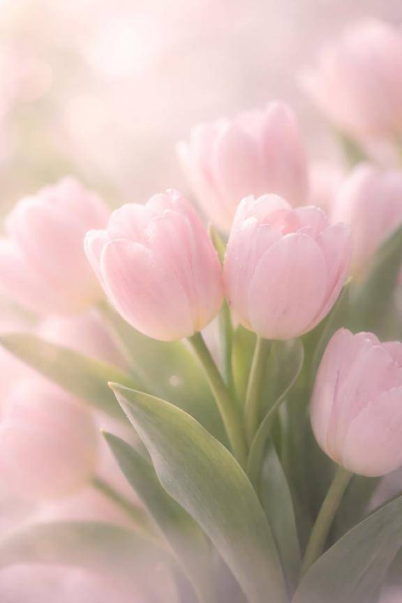 4月のthank you🌷