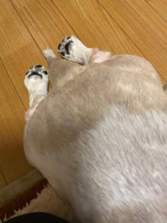 えまー