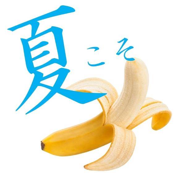 夏の朝には！
