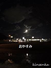 きちゃったもんね