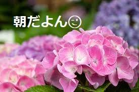 どんな香りが好き??