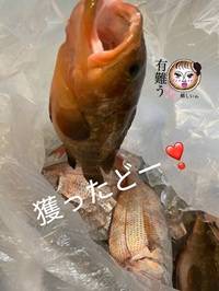 獲って･･･ません🤣