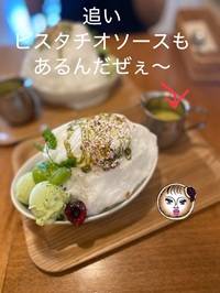 せんろっぴゃくえん