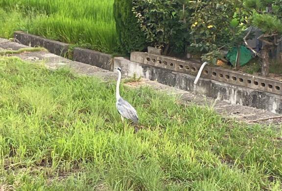 びっちゃびちゃ……