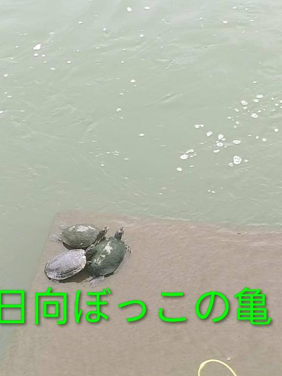 おはようございます