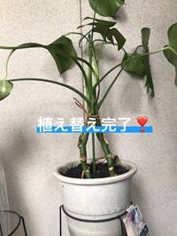 大きくなぁる!!