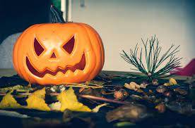 trick or treat🎃👻