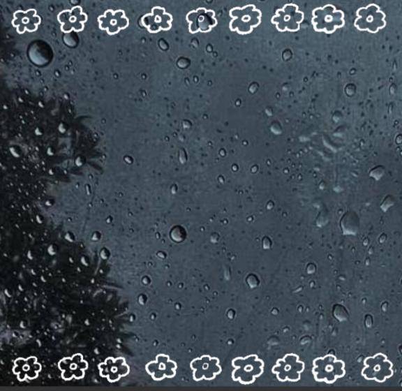 寂しいわね……