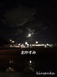 寒すぎて･･･