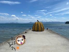 違いがわかりすぎる女