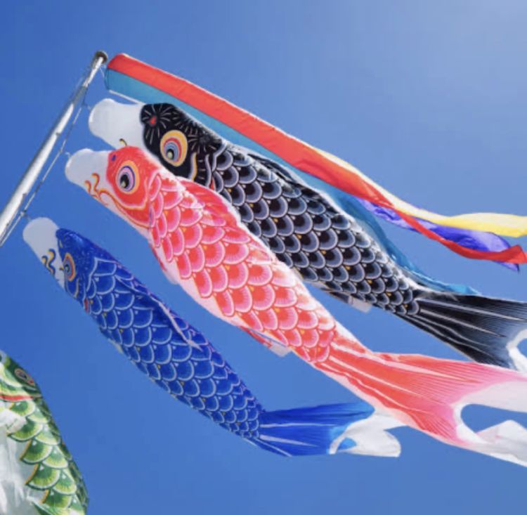 5月5日◌𓈒🎏𓂃 𓈒𓏸◌‬゜
