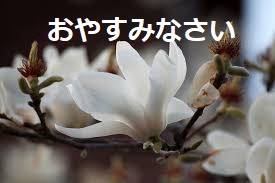干し続けた結果