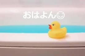 酸を欲する