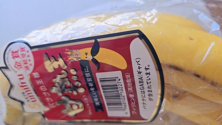 出勤日です