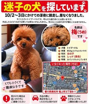 ご一報ください