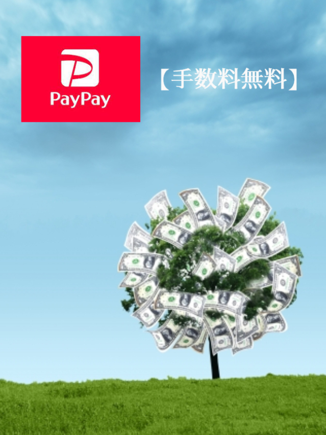 【 PayPay決済 】（高松デリヘルきんせんか）
