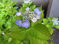 お疲れ様です
