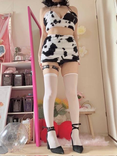おやすみなさい🐮