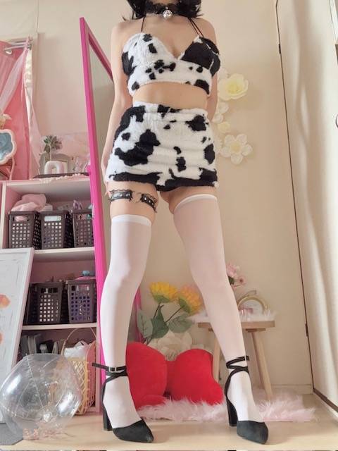 おやすみなさい🐮