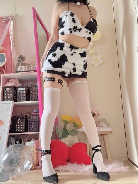 おやすみなさい🐮
