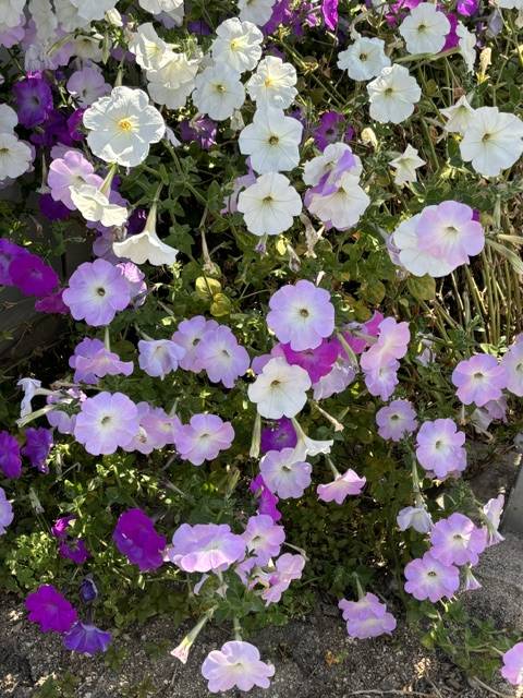 ありがとうございました(^^)
