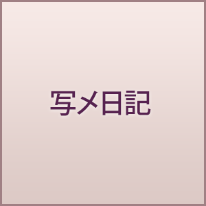 写メ日記
