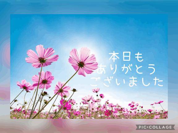 お礼?リピ様