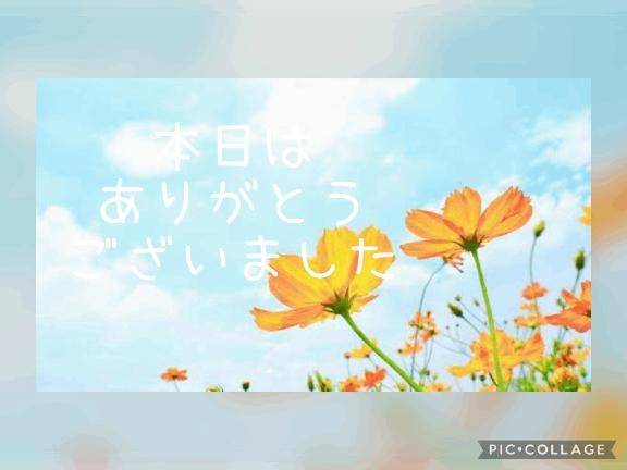 お礼?ご新規様