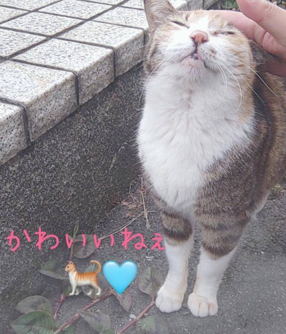 ９日目！！