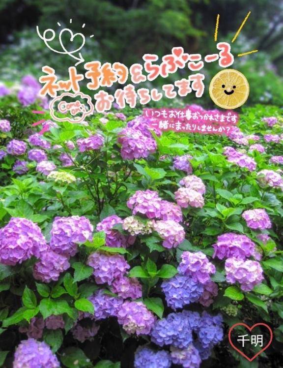 おはよーございます?