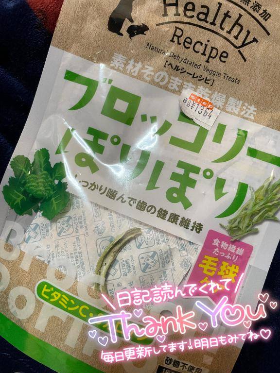 毎日?
