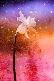 [お題]from:パンダさん