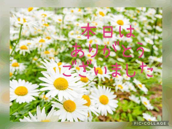 お礼?リピ様