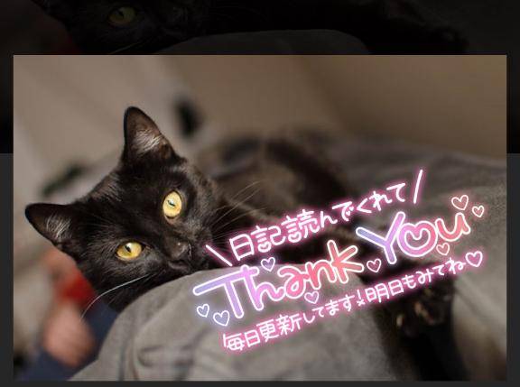 新しい居候?？