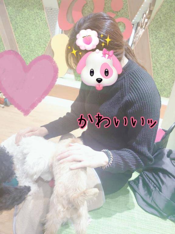 ありがとうございます?