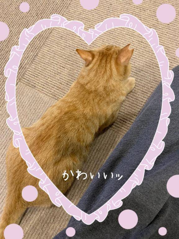再びの初日！！