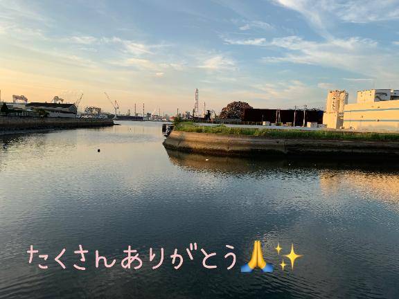 ありがとうございます?