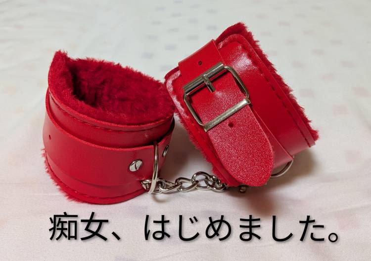 はじめました。