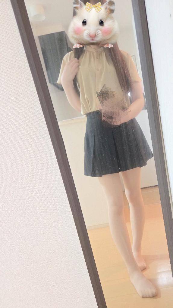 11月のおしらせにやってきました?