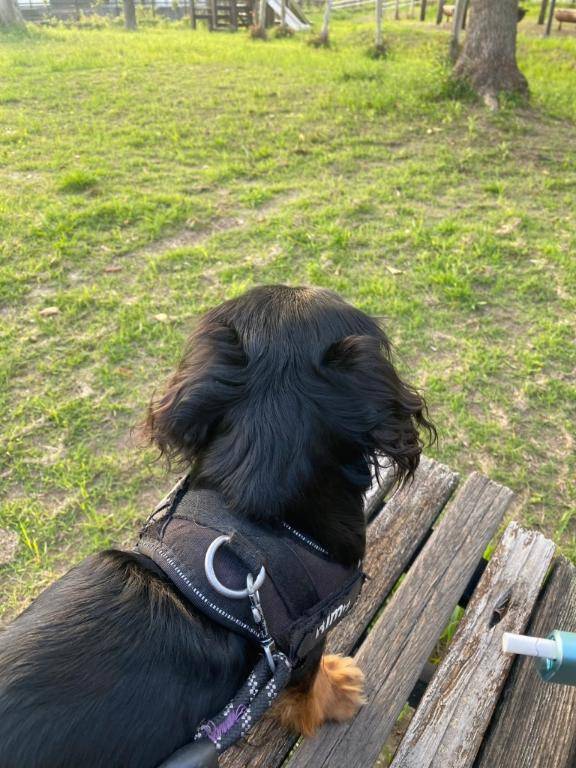 [お題]from:水がぶ飲み☆さん