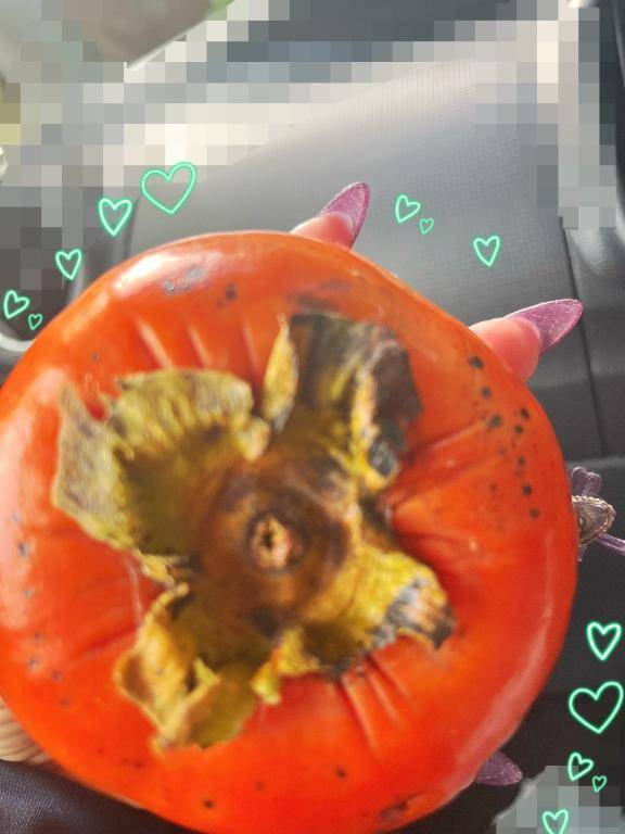 い、いたいおやす?