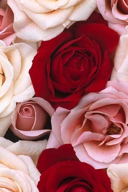 皆様お久しぶりです?