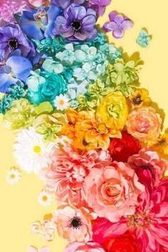 キャッスルのリピ様へ